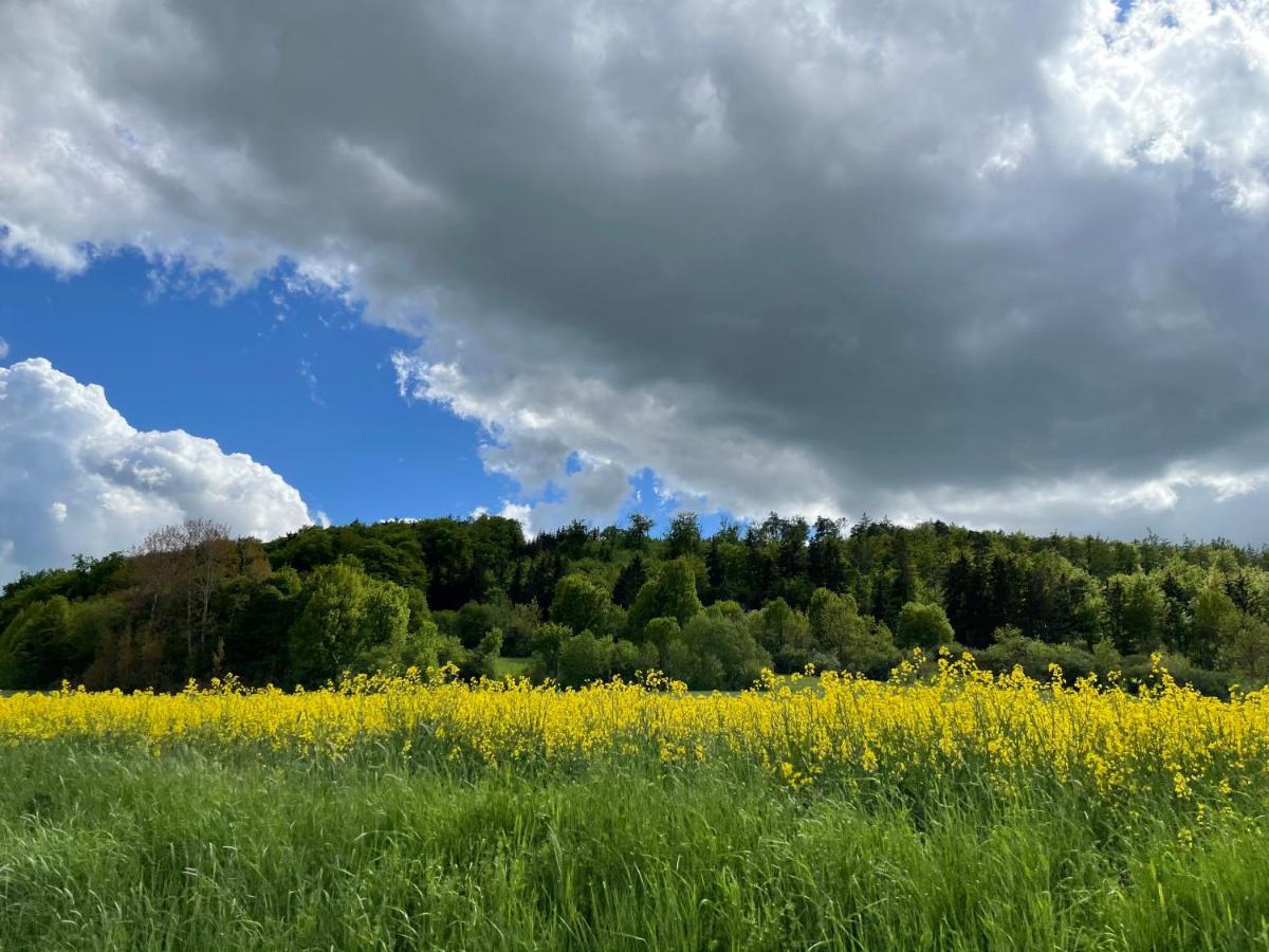 Villa Talblick Im Naturpark Altmuehltal Ґредінґ Екстер'єр фото